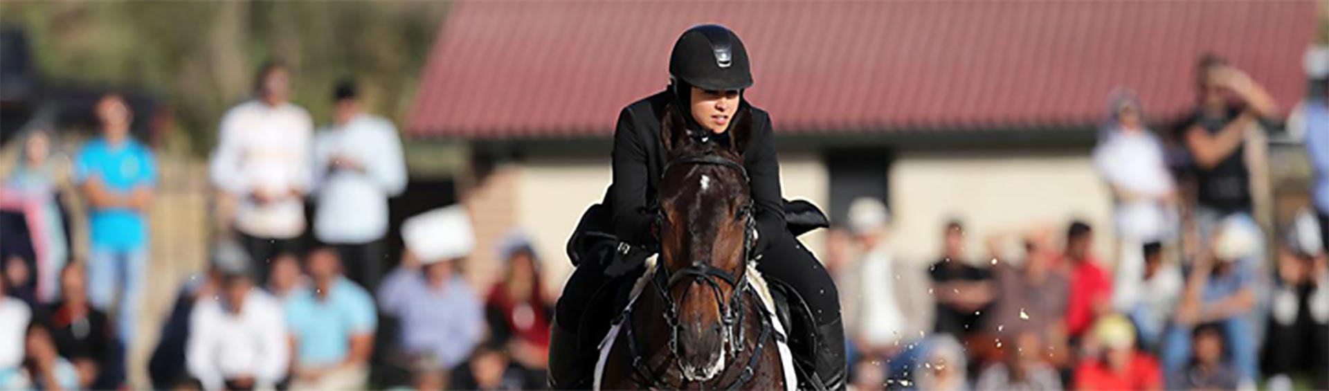 فدراسیون سوارکاری جمهوری اسلامی ایران