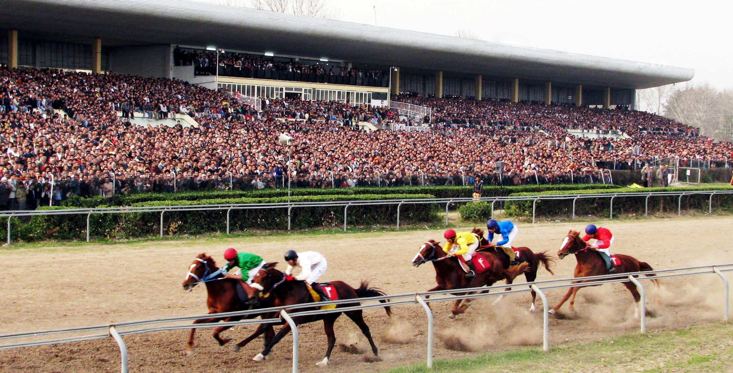 فدراسیون سوارکاری جمهوری اسلامی ایران