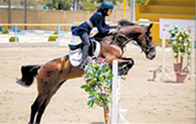 امور بانوان