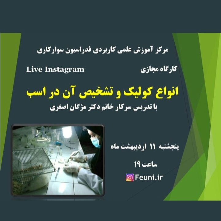 اطلاعیه کارگاه مجازی انواع کولیک و تشخیص آن در اسب