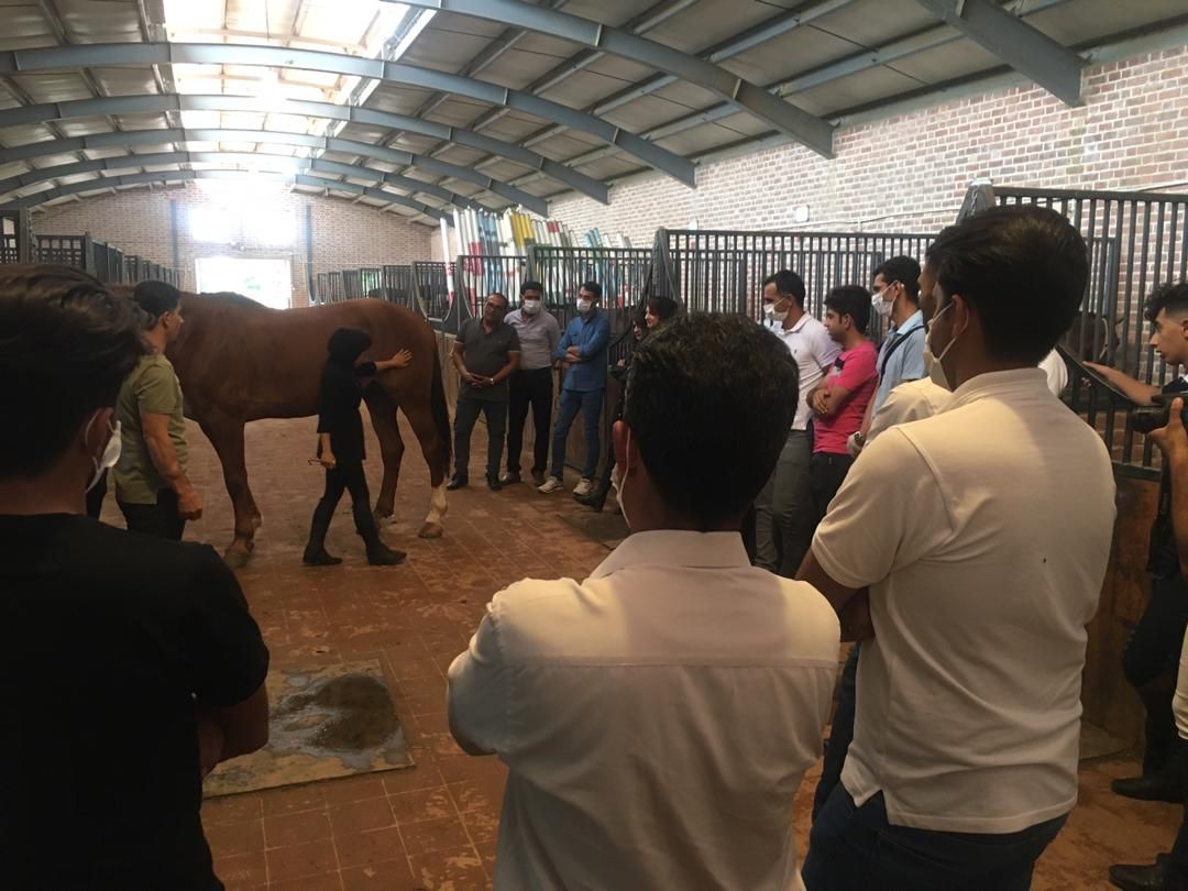 گزارش تصویری کلینیک های مربیگری استان کرمان