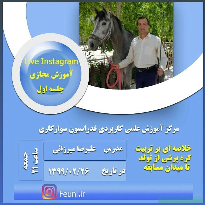 اطلاعیه دوره آموزش مجازی تربیت کره پرشی از تولد تا میدان مسابقه