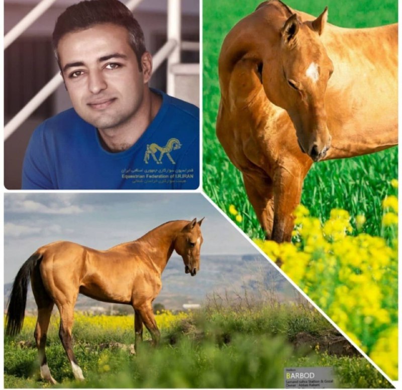 ادامه زنجیره محبت در استان خراسان رضوی توسط احسان کمالی عکاس برجسته کشور جهت تهیه رایگان مجموعه عکس از سیلمی باربد