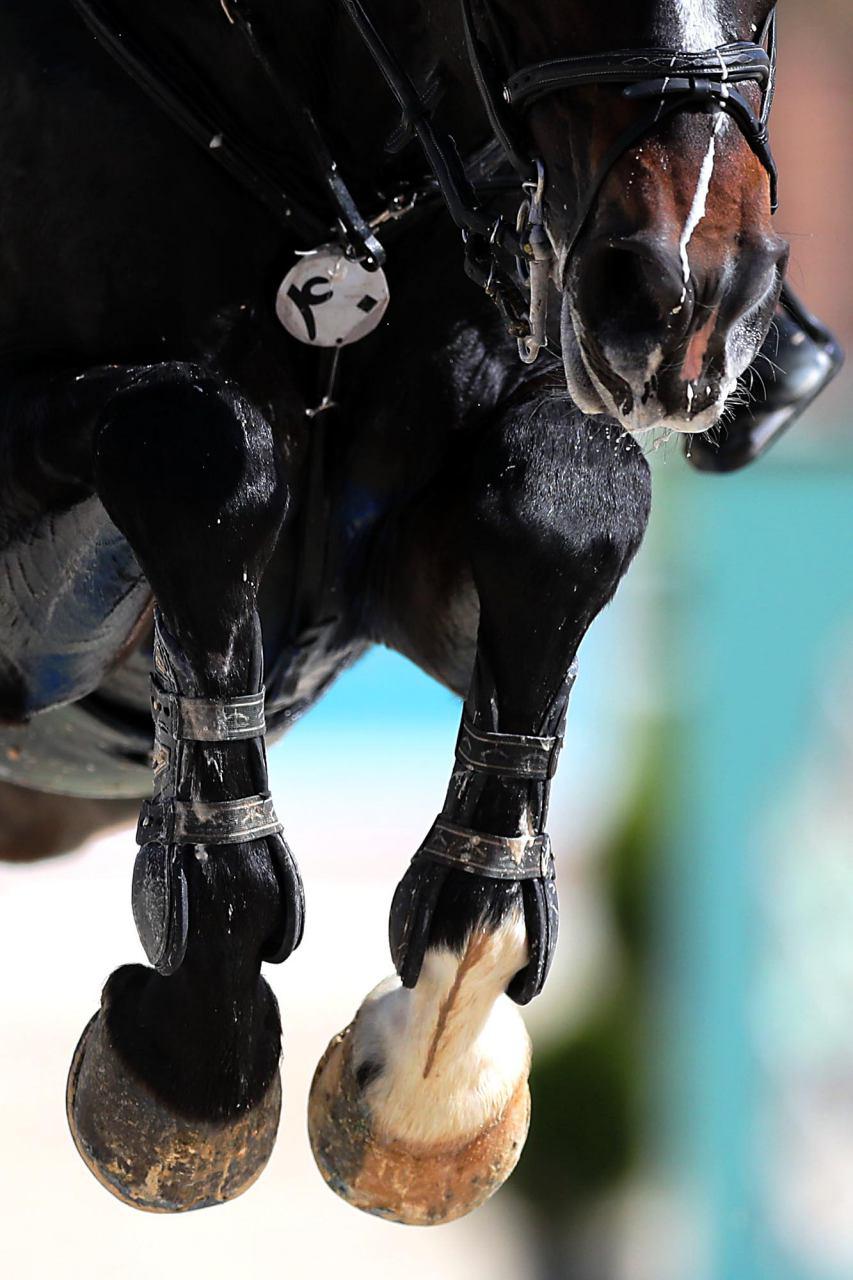 نتایج مسابقات كلاسيك انلاين فدراسیون سوارکاری