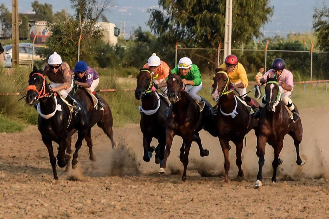 گزارشتصویری هفته هشتم مسابقات اسبدوانی فصل تابستانه 98 بندرترکمن