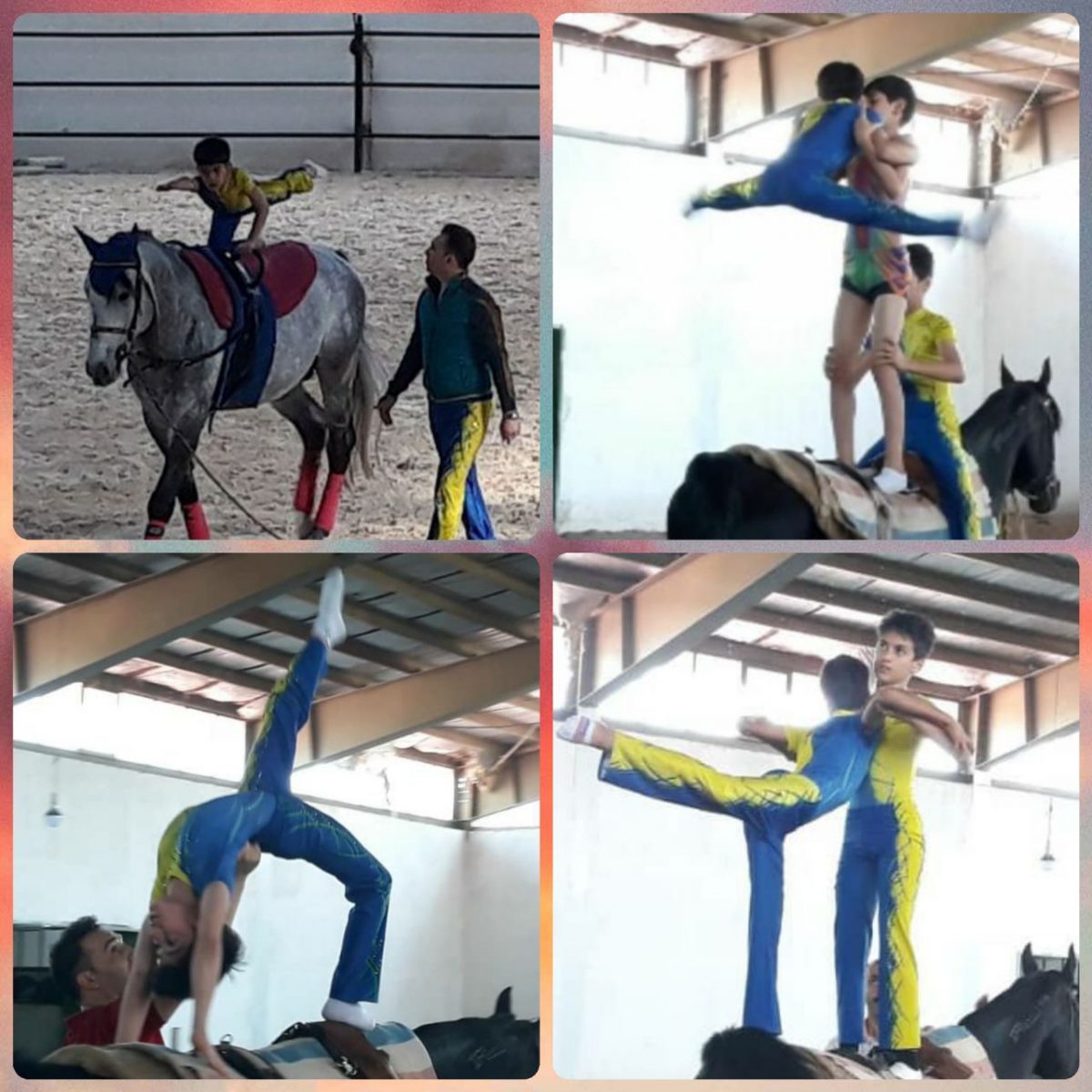 اطلاعیه دوره کلینیک تخصصی ولتینگ