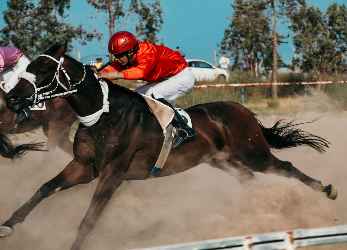 گزارش تصویری هفته دوم مسابقات کورس بهاره شهرستان ترکمن